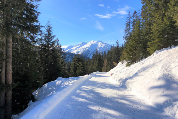 Wolfgang - Meierhof (oua_56764695_image)