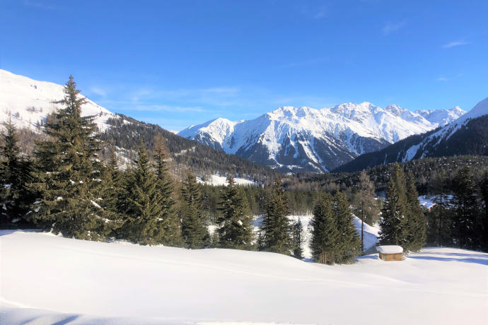 Wolfgang - Meierhof (oua_56764698_image)