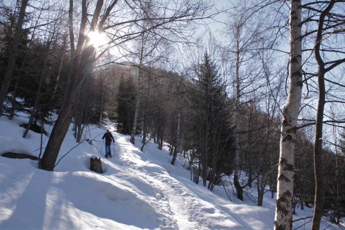 Aufstieg durch lichten Wald