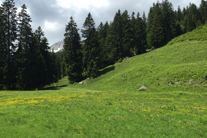 Intorno alla Grep da Plaids (oua_56874377_image)