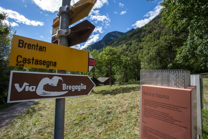 Kastanienlehrpfad Castasegna (oua_56877998_image)