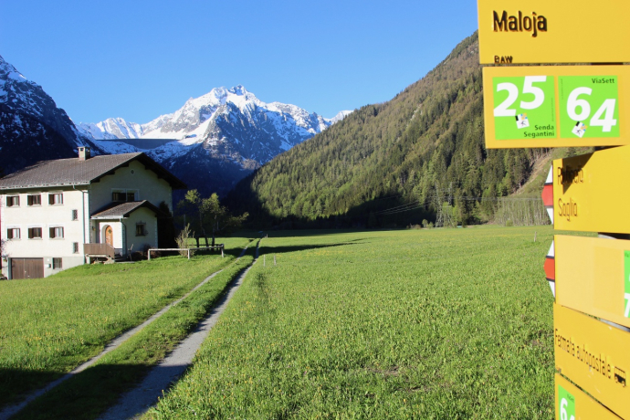 Via Panoramica (oua_57046171_image)