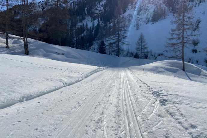 Dischma Uphill (oua_57062445_image)