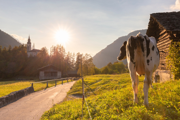 Tappa trail del Gigathlon 2022 (oua_57092924_image)