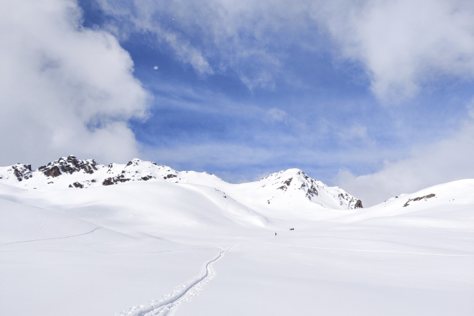 Baslersch Chopf (oua_57250109_image)