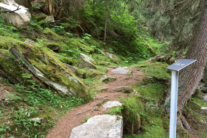 Vals - Vecchio sentiero Zerfreila - Zerfreila (oua_57379614_image)