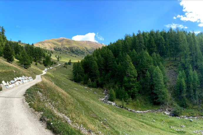 Alpweg zur Alp Arpiglia