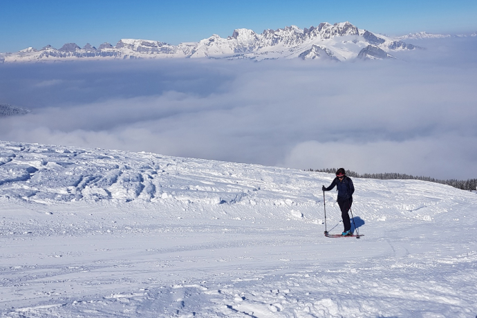 Skitouren über dem Nebelmeer