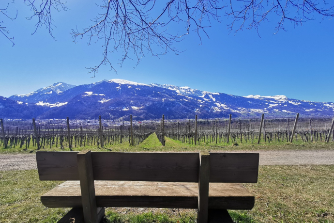 Sonnenbänkli auf der Weinwanderung in Fläsch Sonnenbänkli auf der Weinwanderung in Fläsch