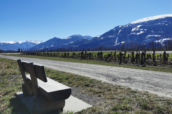 Transats au Rhiwald Transats au Rhiwald