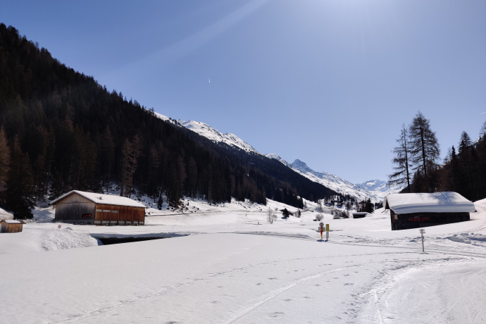 #Nordicstar - Dischmatal-Run (oua_57675249_image)