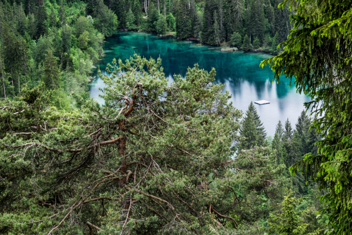 Flims Dorf - Felsbach - Trin Station (oua_57883344_image)