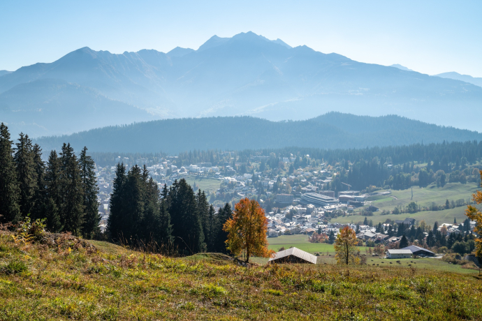 Flims Talstation - Foppa (oua_57885887_image)