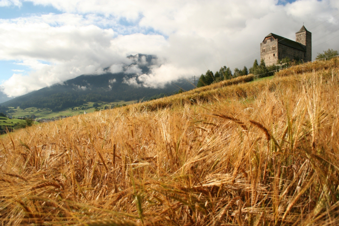 Riom castle (oua_57910011_image)