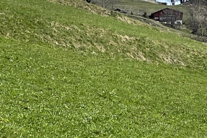 Falera - Valendas (oua_57964644_image)