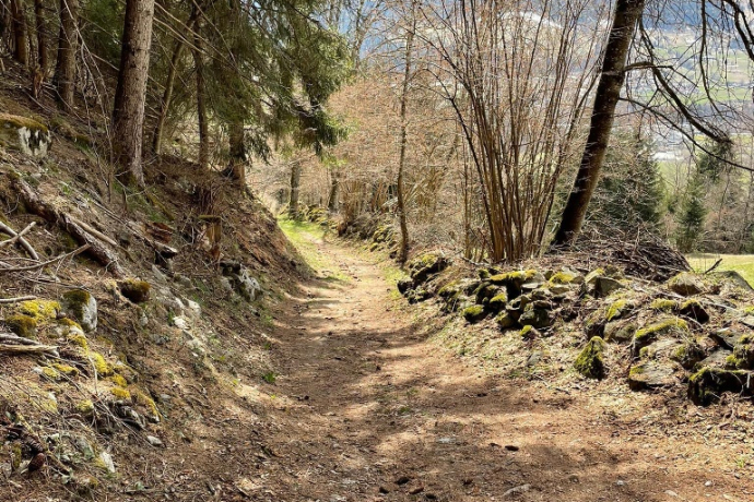 Falera - Valendas (oua_57964661_image)