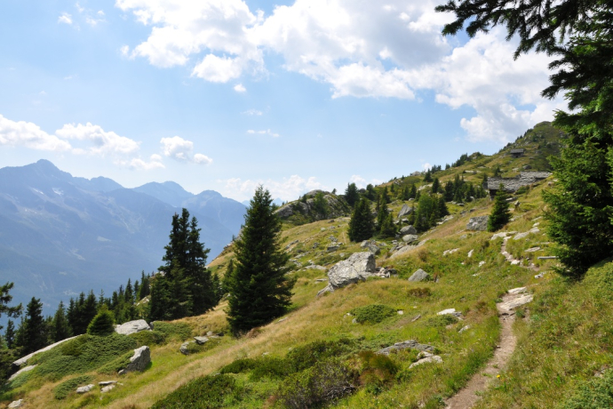 Panoramica Alta ou Sentiero Panoramico (oua_58644787_image)