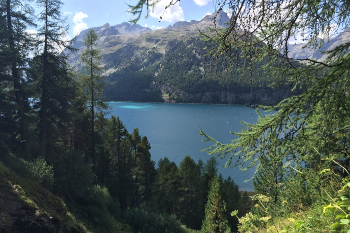 Aussicht auf den Silvaplanersee