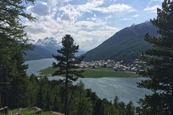 View from Crest'alta