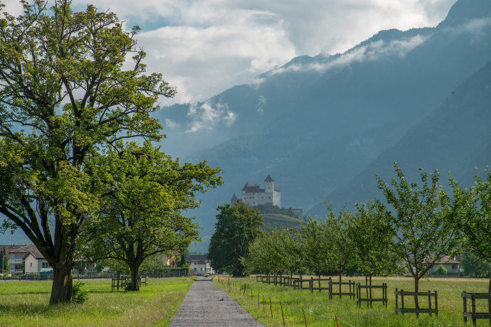 Burg Gutenberg in Balzers