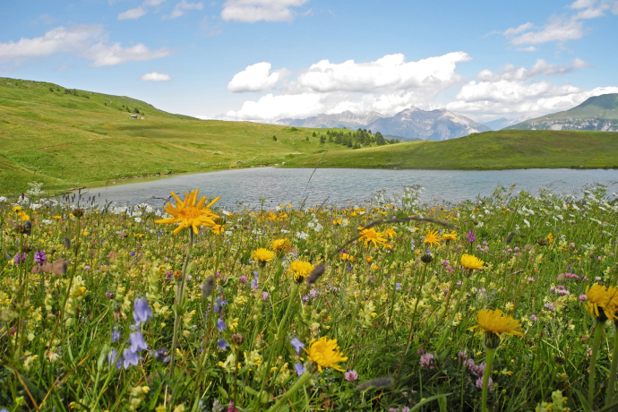 Libi am Schamserberg