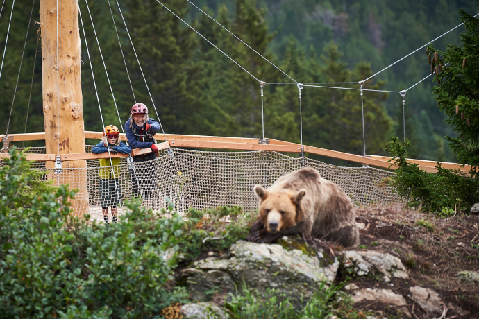 Terra degli orsi di Arosa