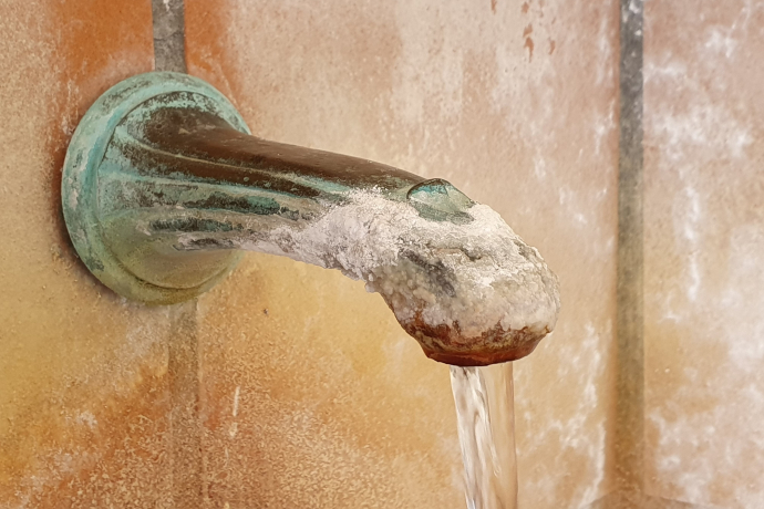 Rooster of the Lischana spring Rooster of the Lischana spring