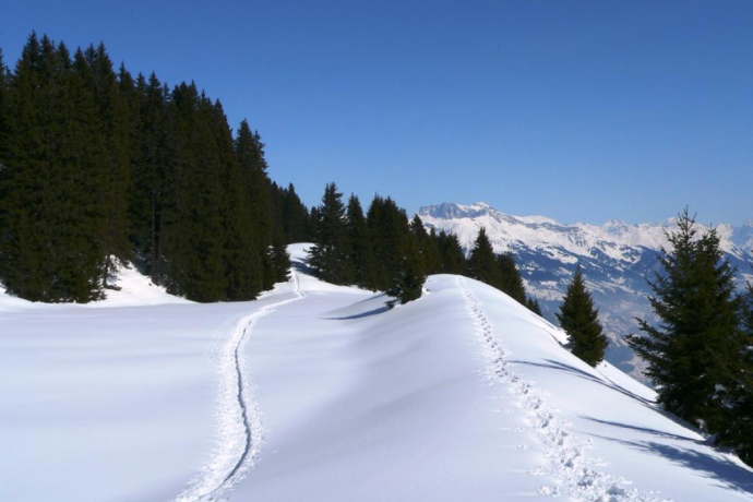 Schneeschuhspuren auf dem "Scäri"
