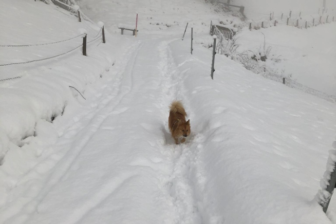 Winterwandern in Zorten