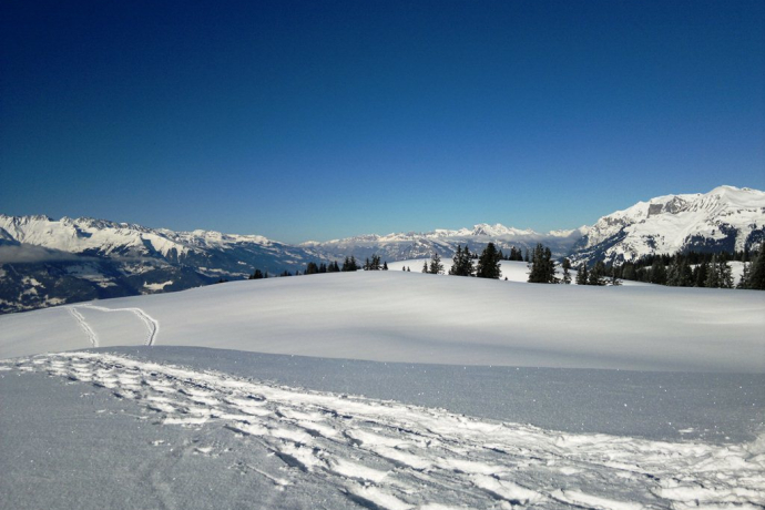 Furna - Ried Rundtour (oua_5967213_image)