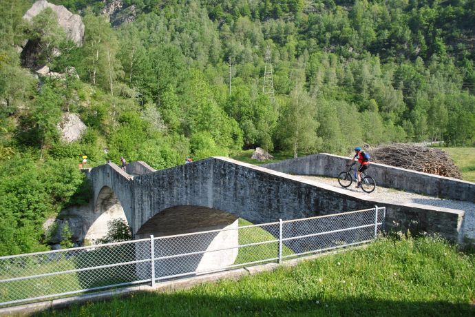 Maloja Express 679 (oua_59848716_image)
