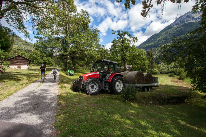 Maloja Express 679 (oua_59848723_image)