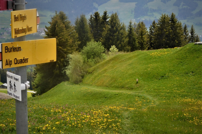 Sul sentiero di soccorso con Burli (oua_60018814_image)