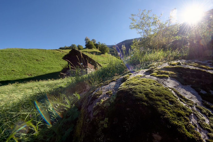 Panoramaweg-Valle Calanca (oua_600534330_image)