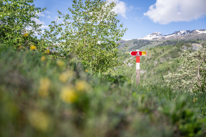 Bestens ausgeschilderte SchweizMobil Route "222 Nino Schurter Bike"