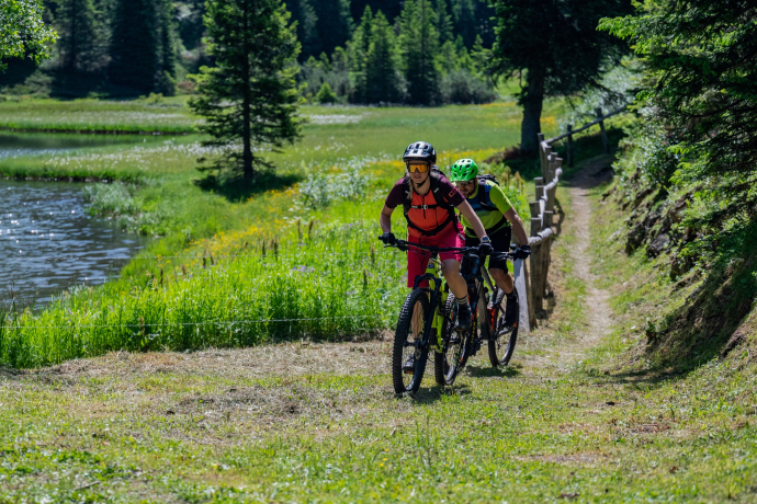 642 Pignela - San Bernardino (Mesolcina) (oua_600851146_image)