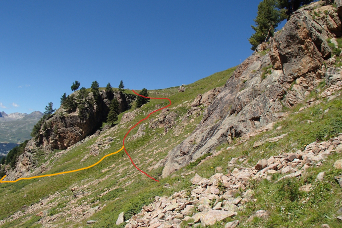 Languard climbing garden
