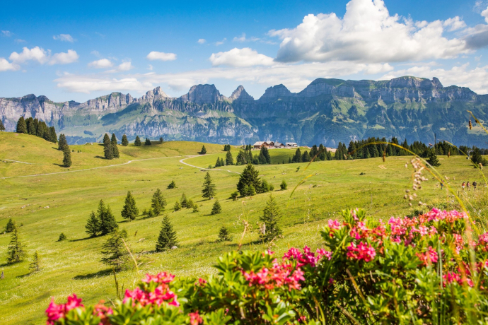 Aussicht auf die Churfirsten