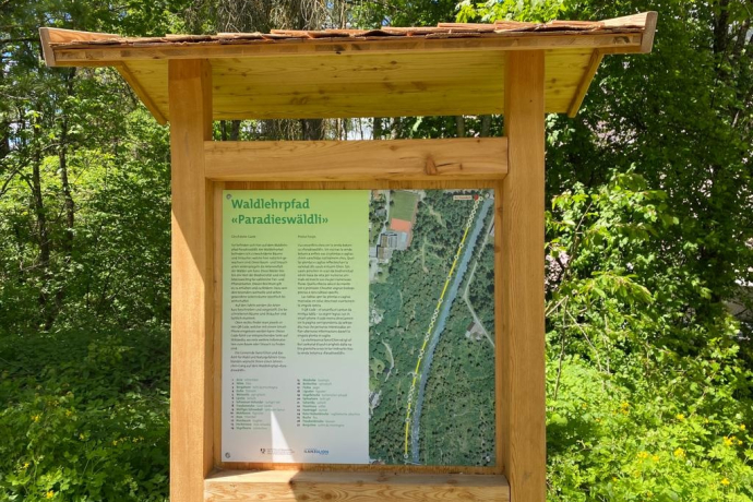 Waldlehrpfad Sommer