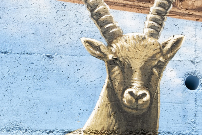 Stambecchi - Anzon - mMoMAm (oua_602105549_image)