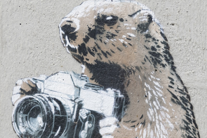 Marmotte - Scuole - mMoMAm (oua_602105605_image)