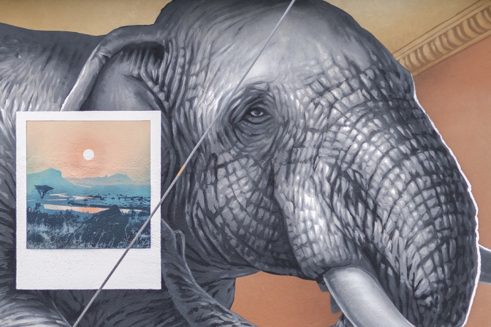 Elefante - Leso - mMoMAm (oua_602105720_image)