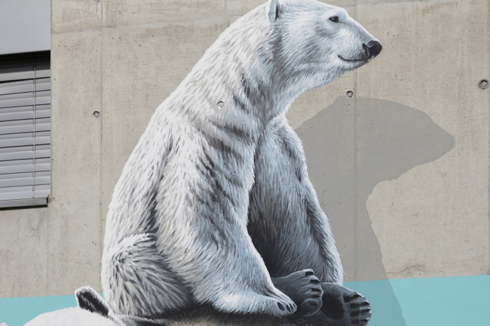 Orsi - Centro - mMoMAm (oua_602105951_image)