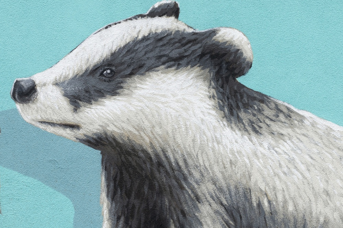 Tassi - Cebbia - mMoMAm (oua_602105998_image)