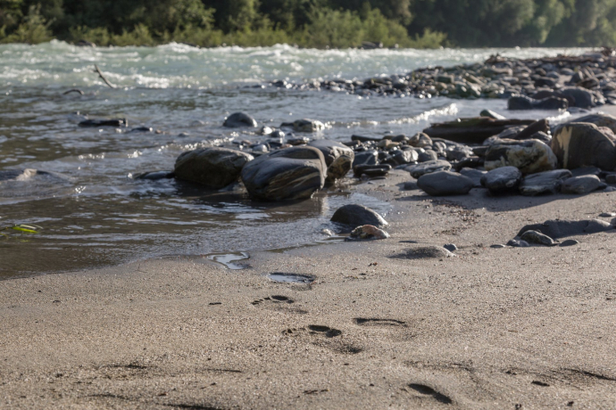 Sandstrand am Rhein