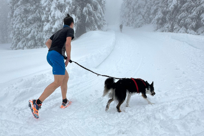 SanbeSNOWrun (ed. 2025) (oua_602679158_image)