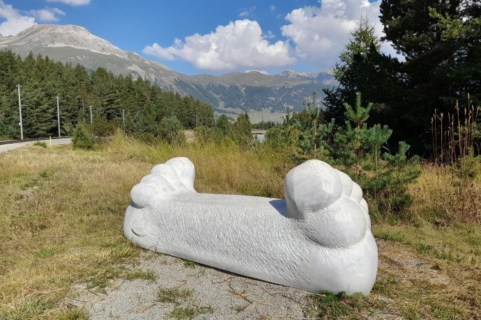 Mountainbike-Tour mit dem Bernina Express von Samedan über Pontresina nach Ova da Morteratsch (oua_602834851_image) Mountainbike-Tour mit dem Bernina Express von Samedan über Pontresina nach Ova da Morteratsch (oua_602834851_image)