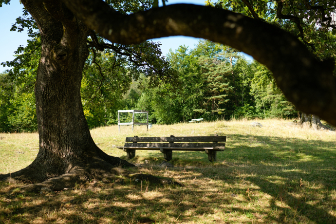 Ruhebänkli Heidibrunnen Ruhebänkli Heidibrunnen