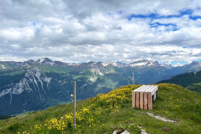 Bank entlang Panoramaweg Schamserberg bei der Alp digl obrist
