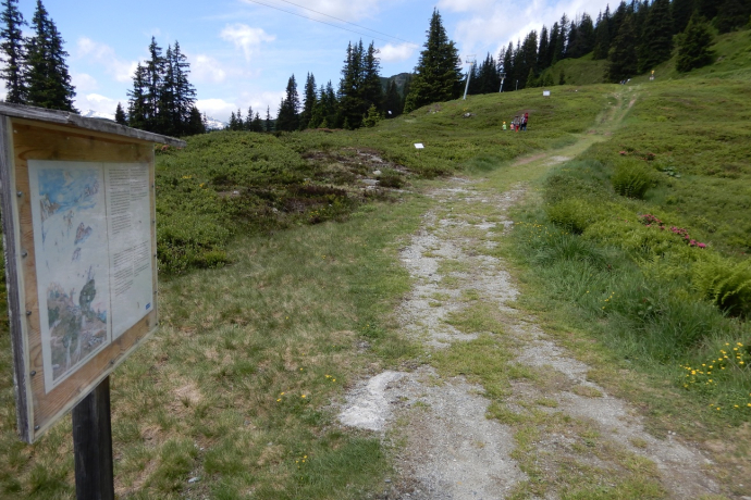 bequemer Wanderweg